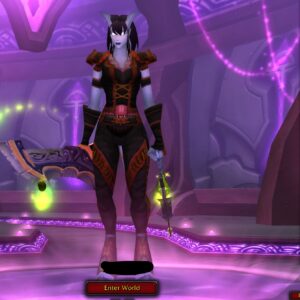 Fire mage close to bis pve geared 10 scrolls
