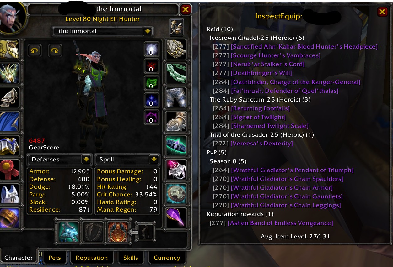 Elf hunter bis pve & pvp - Immortal 23k hk - Image 2