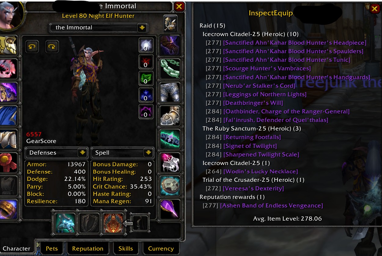 Elf hunter bis pve & pvp - Immortal 23k hk - Image 3